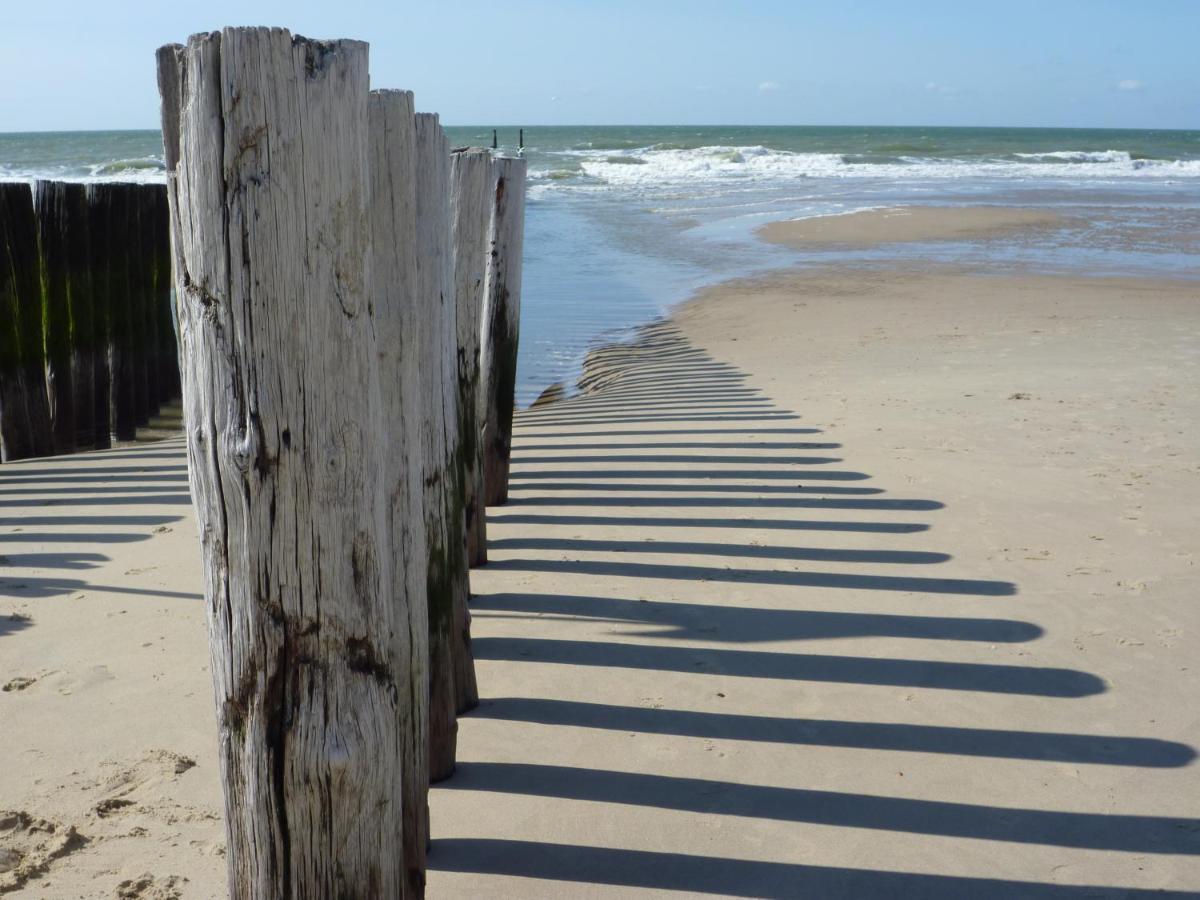 Vakantiehuis Domburg Do08 Met Sauna! מראה חיצוני תמונה